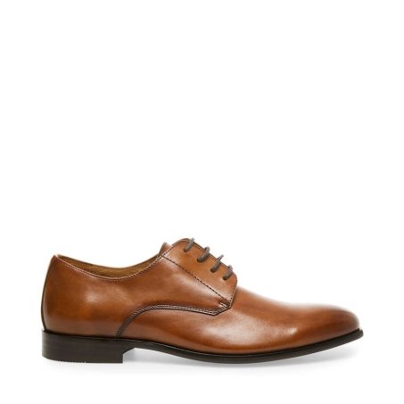 Zapatos Derby Steve Madden Prey Cuero Hombre Marrones | ES ZP4916